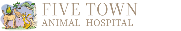 Veterinarian in Hewlett NY